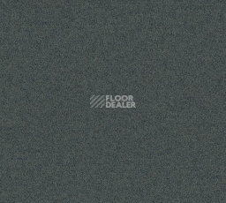 Ковровая плитка Interface Polichrome Solid 4266003 Cloudburst фото 1 | FLOORDEALER